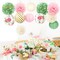 12 PCS Green Pink Blooms Paper Lanterns Tissue Pom Pom(Green Pink)